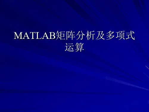 MATLAB矩阵分析及多项式运算