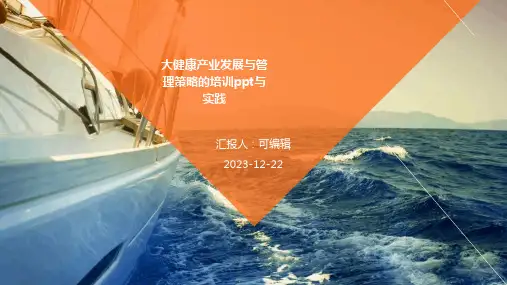 大健康产业发展与管理策略的培训ppt与实践