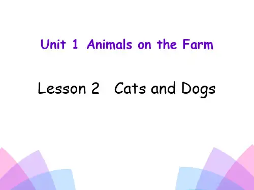 《Cats and dogs》冀教版三年级英语下册PPT课件(2篇)