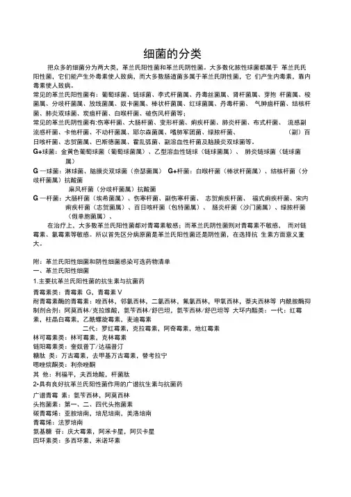 革兰氏阳性菌和革兰氏阴性菌