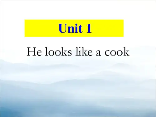 《He looks like a cook》PPT【优秀课件PPT】
