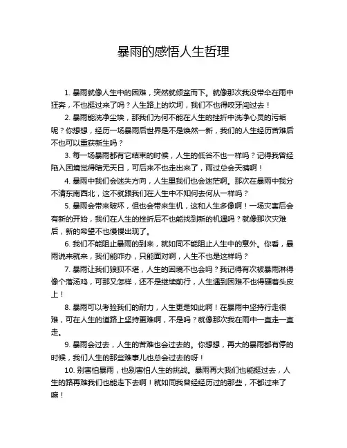 暴雨的感悟人生哲理