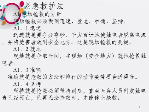 《电工紧急救护》PPT课件_OK