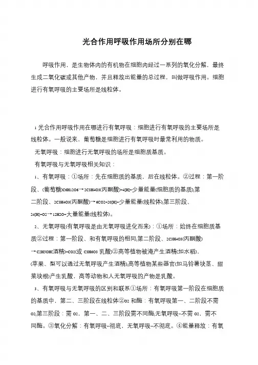 光合作用呼吸作用场所分别在哪
