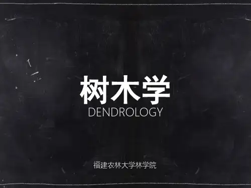 树木学被子植物花序类型