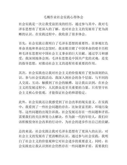 毛概作业社会实践心得体会