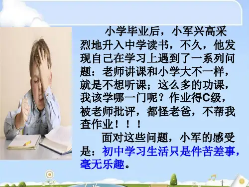 享受学习的快乐ppt优秀课件22份