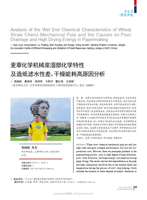 麦草化学机械浆湿部化学特性及造纸滤水性差、干燥能耗高原因分析
