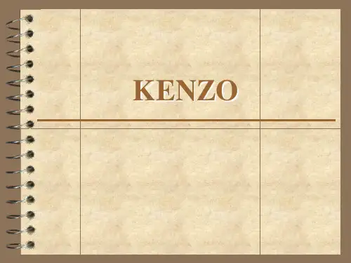 KENZO品牌调研