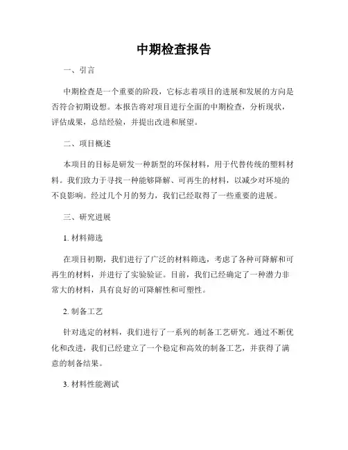 中期检查报告