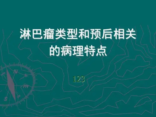 淋巴瘤类型和预后相关的病理特点