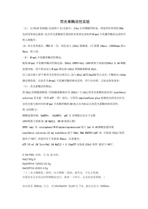 荧光素酶活性实验