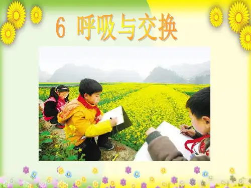 (冀教版)小学科学六下册《呼吸与交换》PPT课件(同课异构) (2)
