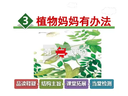 最新人教部编统编版二年级语文上册《植物妈妈有办法》精品课件【第2课时】