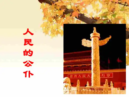 人民的公仆(新编201911)