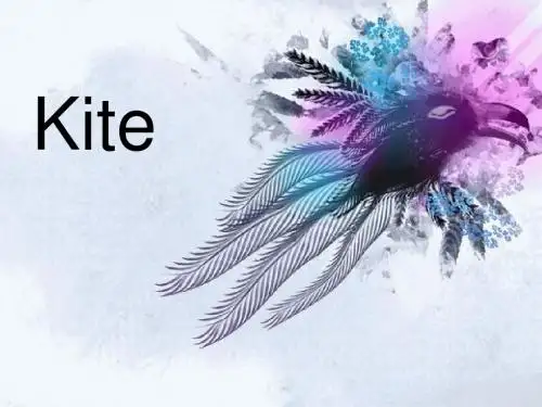 Kite 风筝