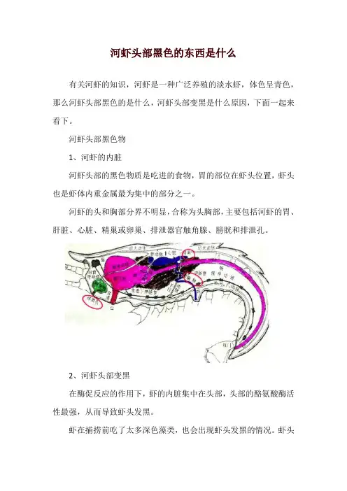 河虾头部黑色的东西是什么