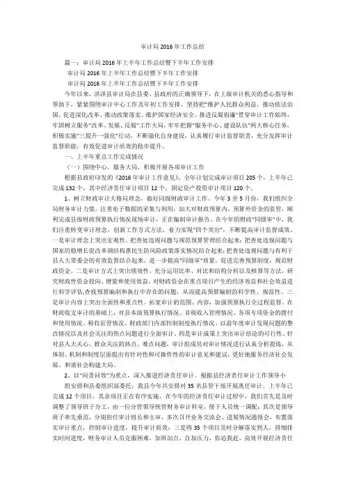 审计局2016年工作总结