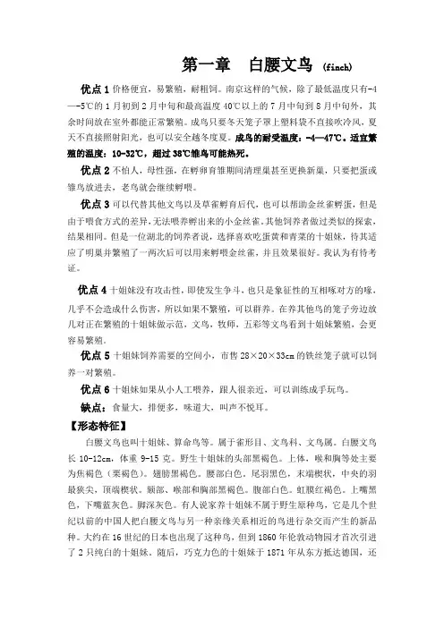 白腰文鸟饲养与繁殖由于是个人真实的饲养经验,谢绝一切转载。