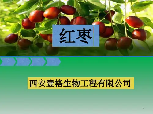 红枣