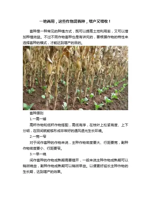 一地两用，这些作物混着种，增产又增收！