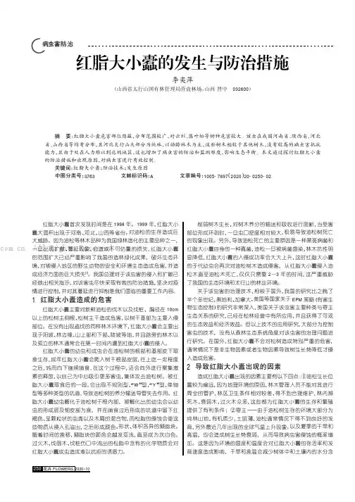 红脂大小蠹的发生与防治措施