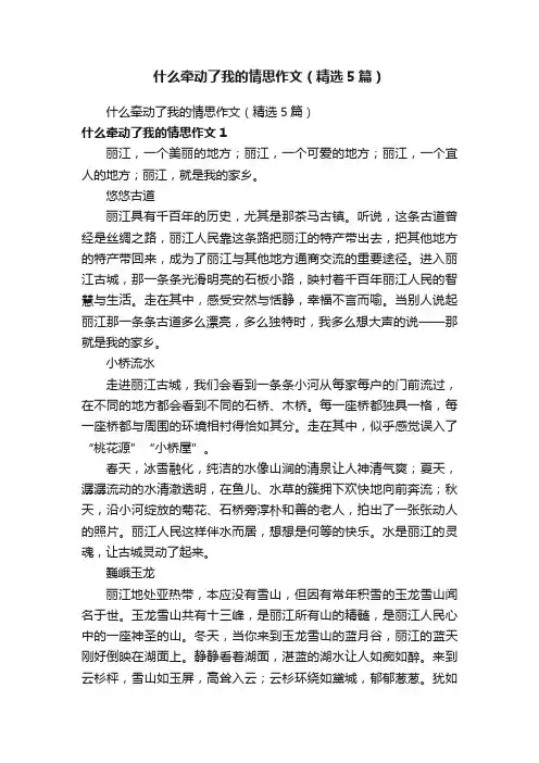 什么牵动了我的情思作文（精选5篇）