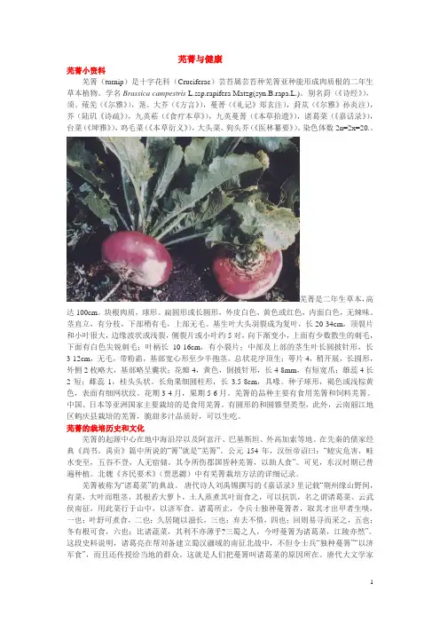 芜菁与健康