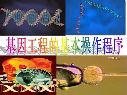 1.2基因工程的基本操作程序 (共59张PPT)