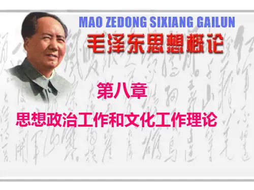 第八章思想政治和文化工作理论 ppt课件