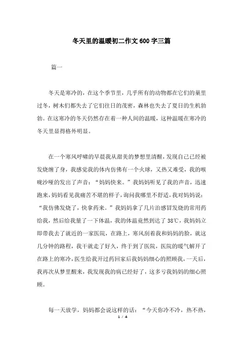 冬天里的温暖初二作文600字三篇