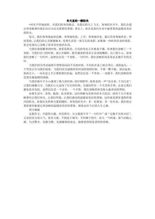 辽源市中考满分作文-冬天里的一缕阳光