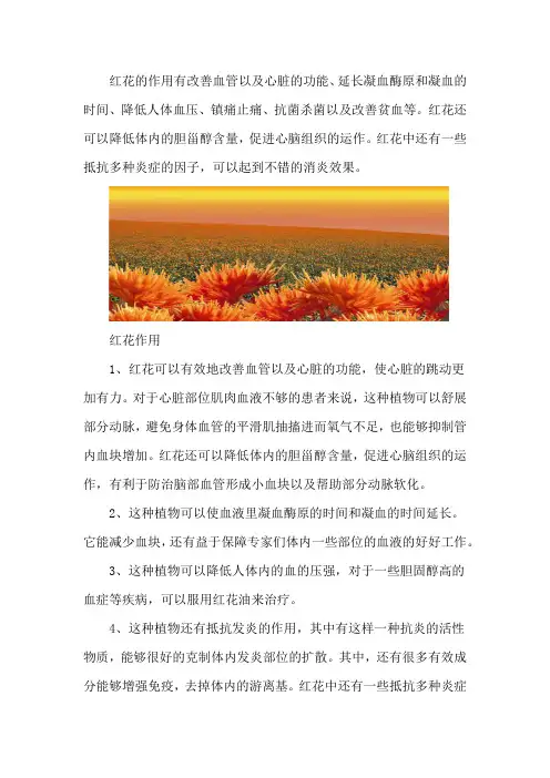 红花的功效与作用