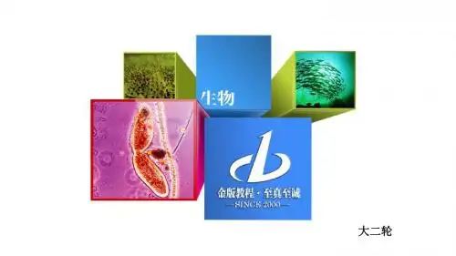 2016高考生物大二轮复习课件第一编专题整合突破 1-6-2生态系统与环境保护.ppt