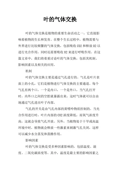 叶的气体交换