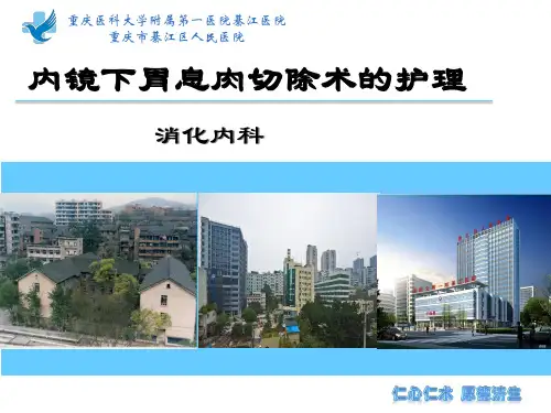 内镜下息肉切除术的护理
