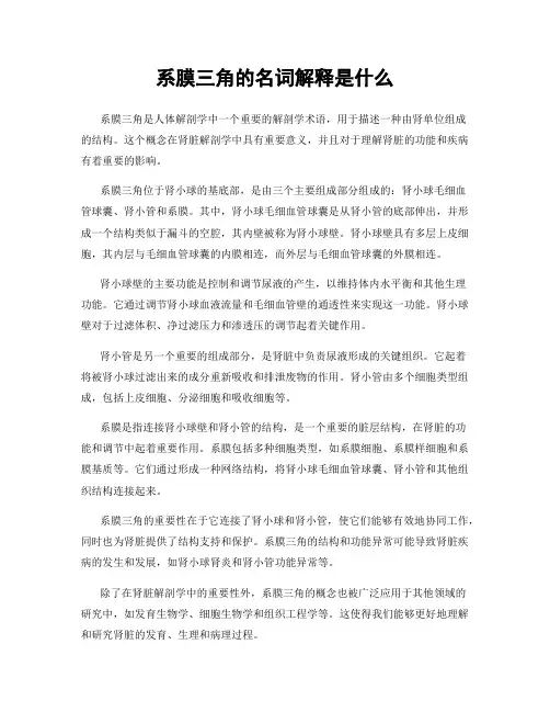系膜三角的名词解释是什么