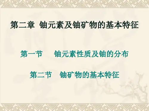 铀矿地质2资料文档