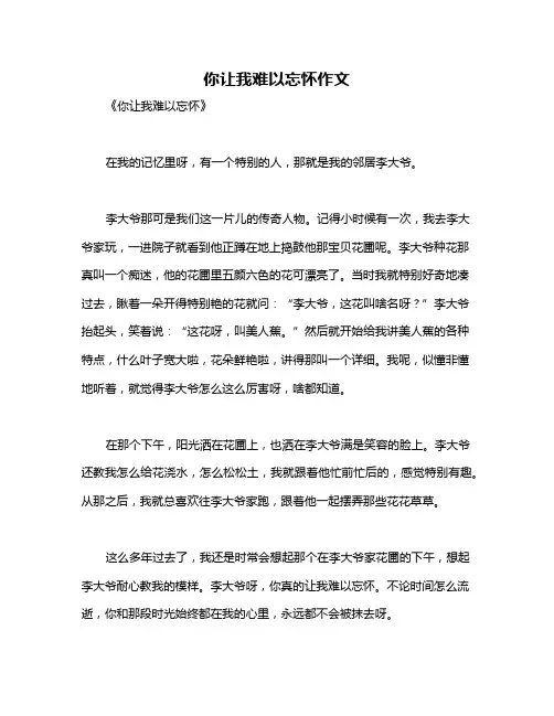 你让我难以忘怀作文