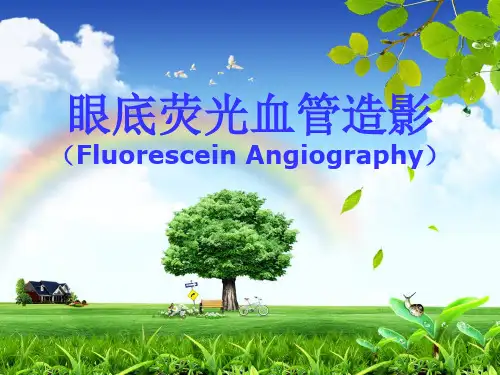 眼底荧光血管造影ppt课件