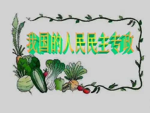 我国的人民民主专政