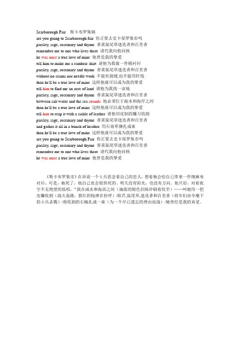 沙拉布莱曼-斯卡保罗集市  歌词(带中文翻译)