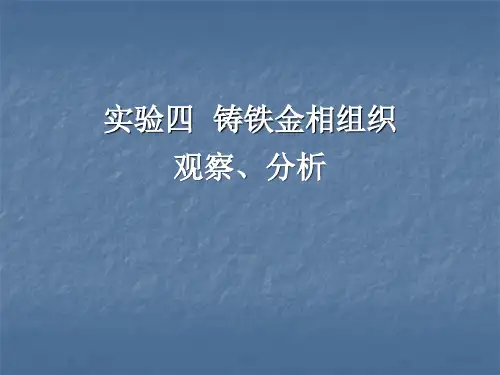 实验四铸铁金相组织观察