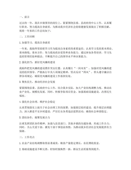 乡镇领导个人工作总结材料