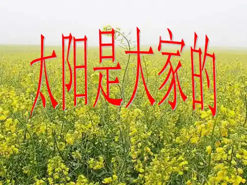 太阳是大家的_PPT课件