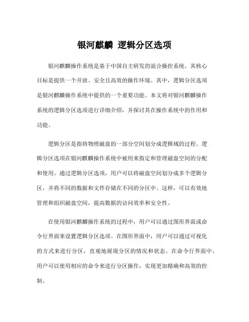 银河麒麟 逻辑分区选项