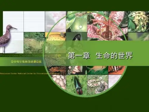 北师大版初中生物复习课件全4册