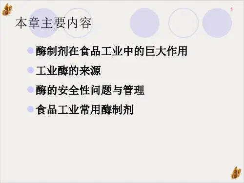 食品酶制剂PPT课件