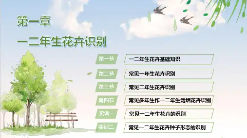 电子课件-《园林花卉识别》-B23-3268 园林花卉识别  第一章