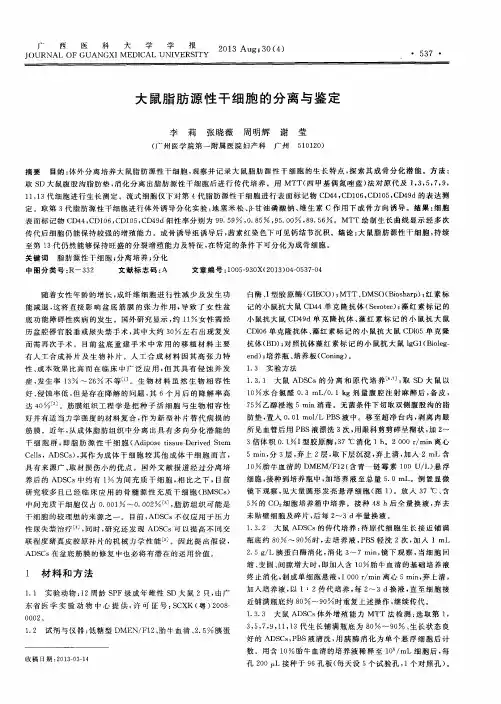 大鼠脂肪源性干细胞的分离与鉴定